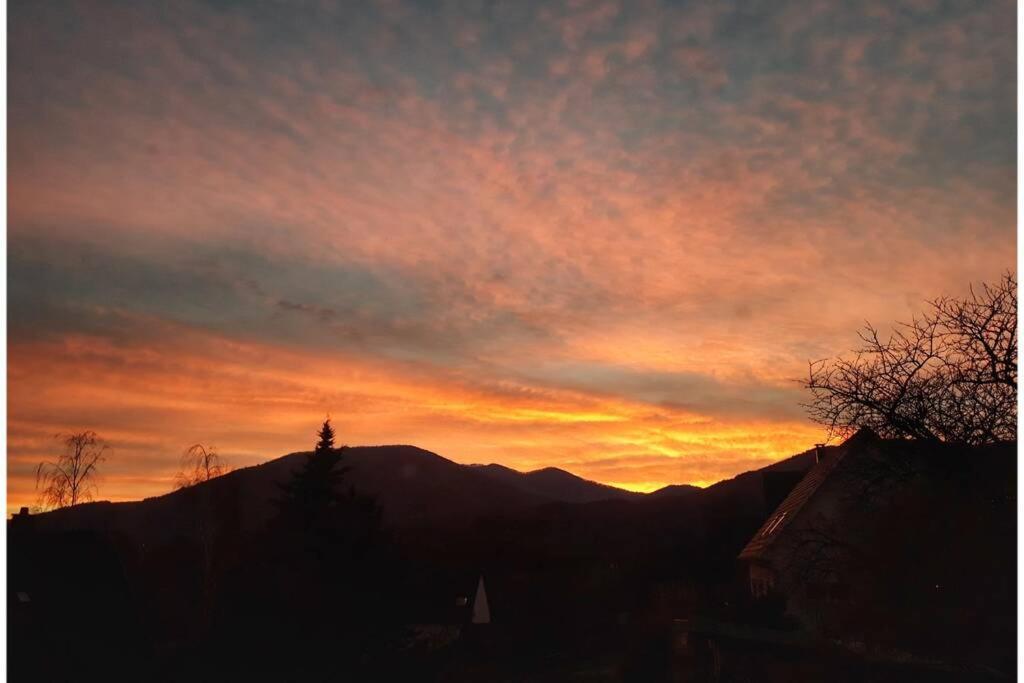 Parenthèse Nature *